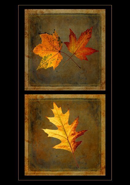 Sarah Townley Autumn Leaves left