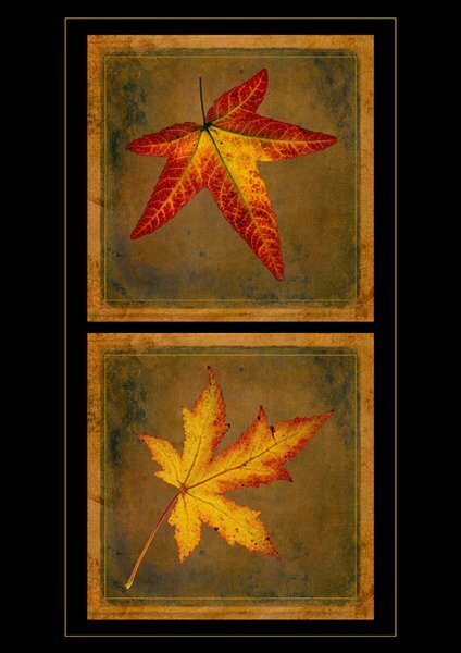 Sarah Townley Autumn Leaves right